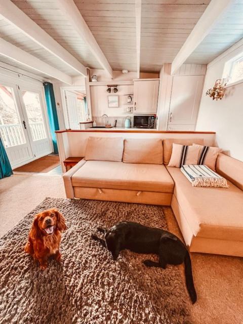 トルーロー Blankednick Boltholes - 3 Beautiful Family Or Couples Cornish Getawaysヴィラ エクステリア 写真